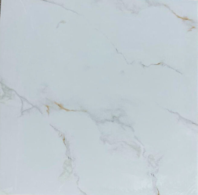 Floor tile YPTT6048