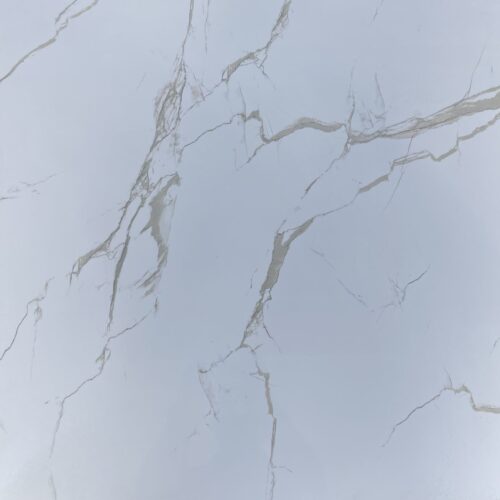 Porcelain Tile Polish YPTT6019